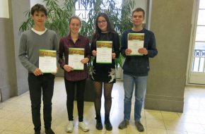 Artikel-Bild
