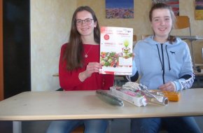 Artikel-Bild