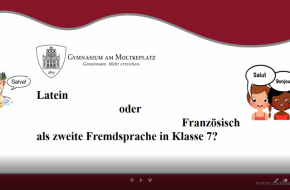 Artikel-Bild