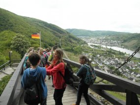 Blick auf die Mosel