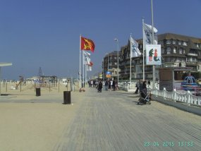 Galeriebild