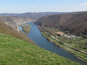 Galeriebild