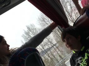 Galeriebild