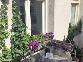 Galeriebild