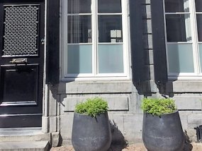 Galeriebild