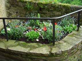 Klassenfahrt der 5a zur Burg Bischofstein