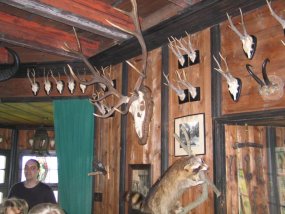 Klassenfahrt der 5a zur Burg Bischofstein