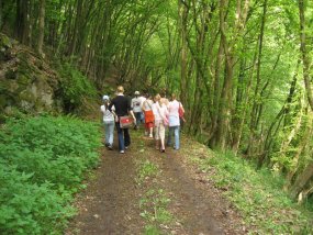 Klassenfahrt der 6a zur Burg Bischofsetin