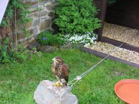 Klassenfahrt der 6a zur Burg Bischofsetin
