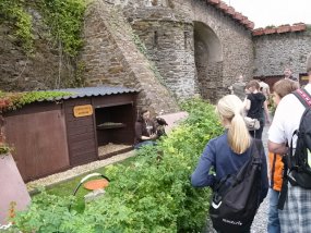 Klassenfahrt der 6a zur Burg Bischofstein
