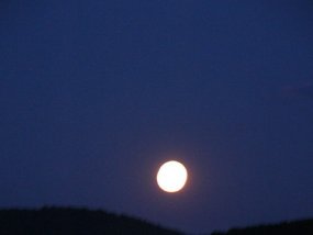 Klassenfahrt der 6c zur Burg Bischofstein