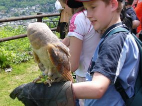 Klassenfahrt der 6c zur Burg Bischofstein