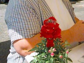Galeriebild