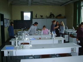 Galeriebild