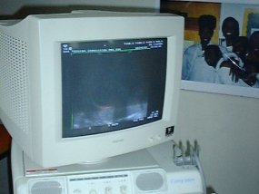 Galeriebild