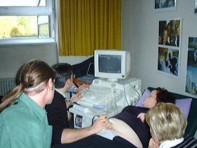 Galeriebild