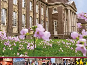 2017 - Moltke-Chronik #45